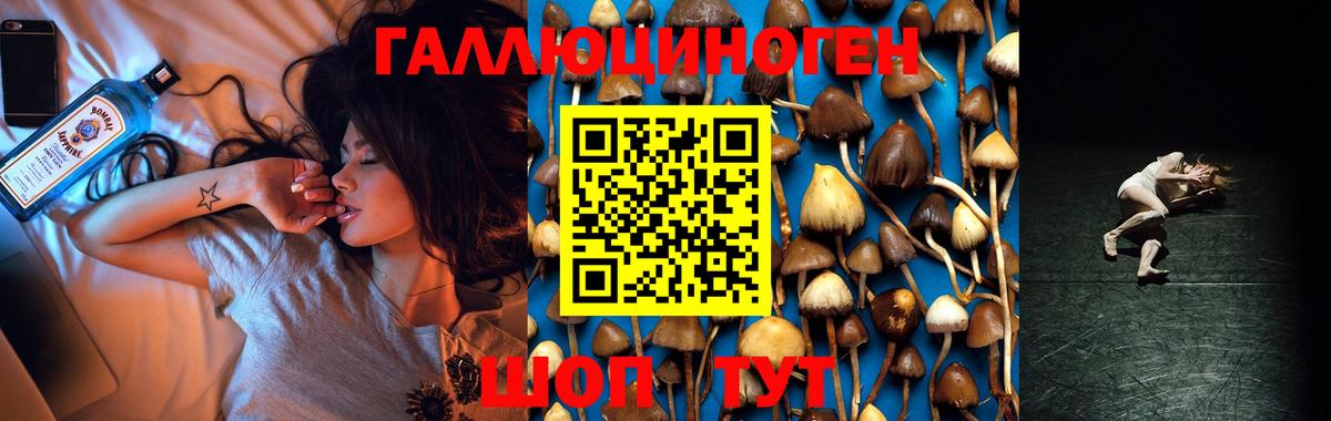 Псилоцибиновые грибы Magic Shrooms Тихорецк