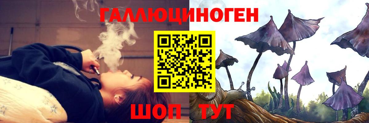 Псилоцибиновые грибы Psilocybe  Галлюциногенные грибы Psilocybe  Тихорецк  Вход с VPN 